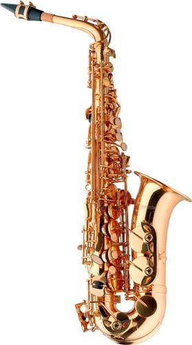Es alt saxofon s pouzdrem