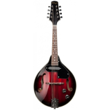Bluegrassová mandolína elektro-akustická, stínovaná