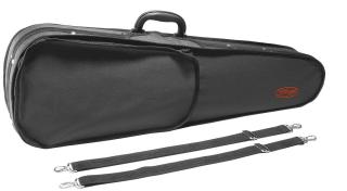 Pouzdro pro 4/4 housle