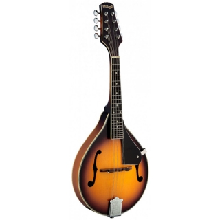 mandolína bluegrassová, masiv