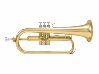 Dimavery FH-310P, B křídlovka s písty